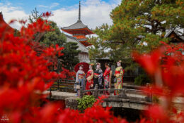 Japan_Autumn_2025 (32/47)